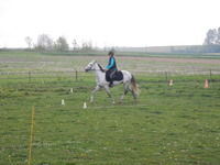 STAGE PONEY/CHEVAL
